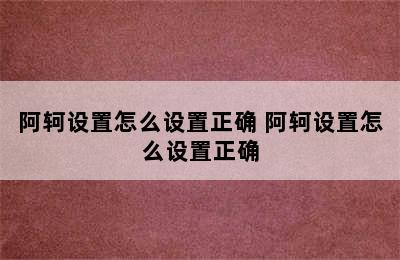 阿轲设置怎么设置正确 阿轲设置怎么设置正确